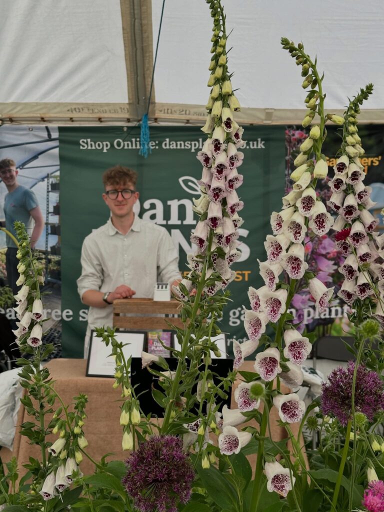 Dan's Plants Kendal Farmers Market Kendal Cumbria Lake District Market Day