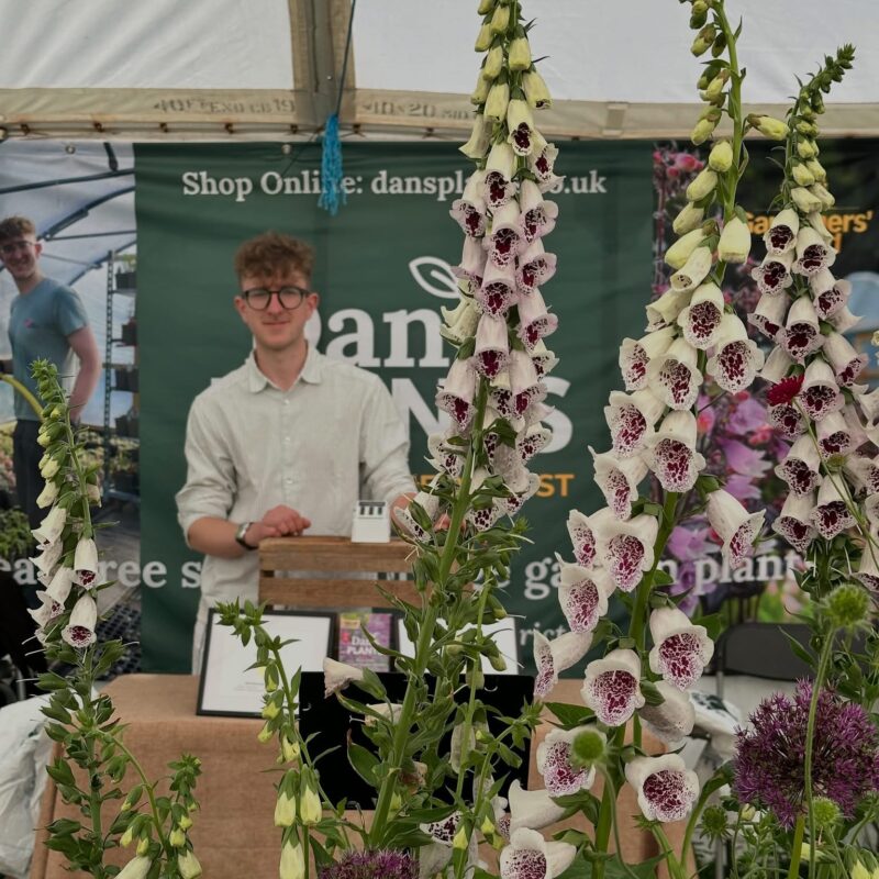 Dan's Plants Kendal Farmers Market Kendal Cumbria Lake District Market Day