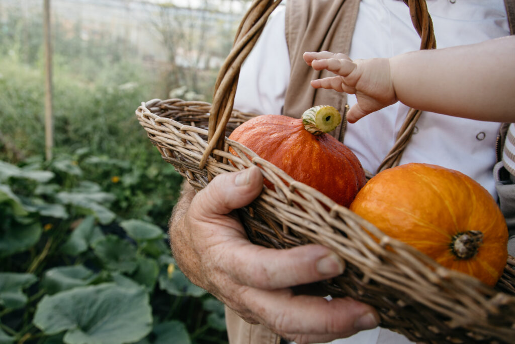 Pumpkins Market Day Kendal Cumbria Artisan Cumbria
